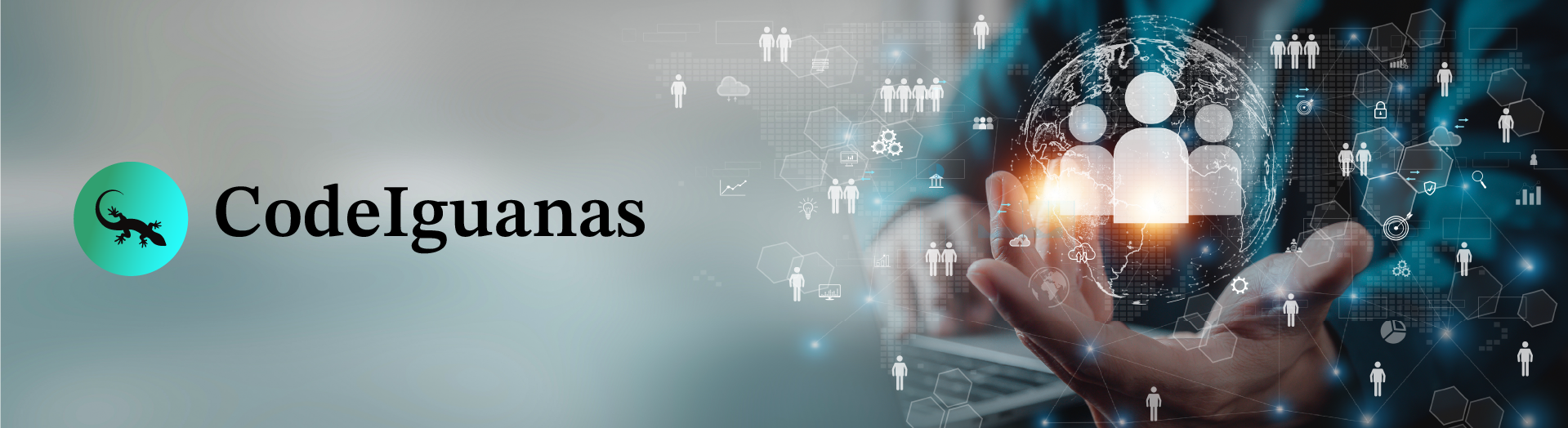 Code Iguanas - HomeSkolar